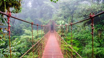 monteverde bridge, Costa Rica